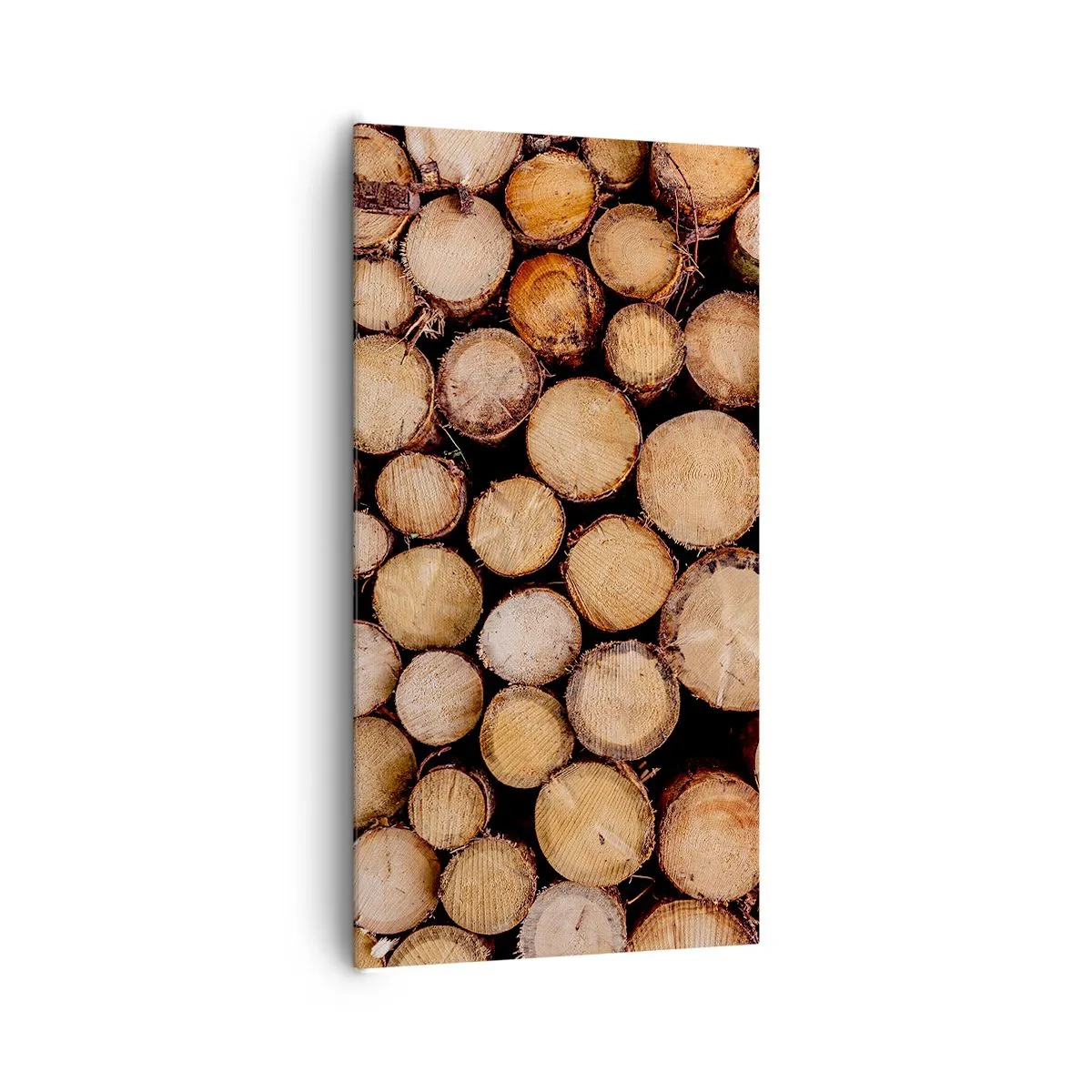 Quadro em tela - Um novo começo - 65x120 cm