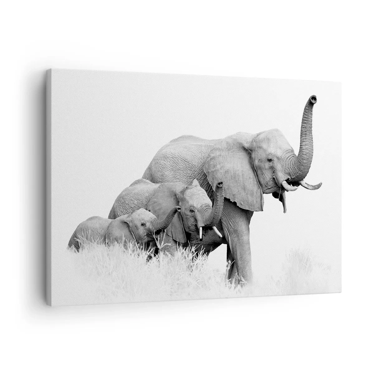 Quadro em tela - Uma família de elefantes em uma paisagem africana em preto e branco. - 70x50cm - Um, dois, três - Decoração de parede moderna para a sala de estar e quarto ARTTOR
