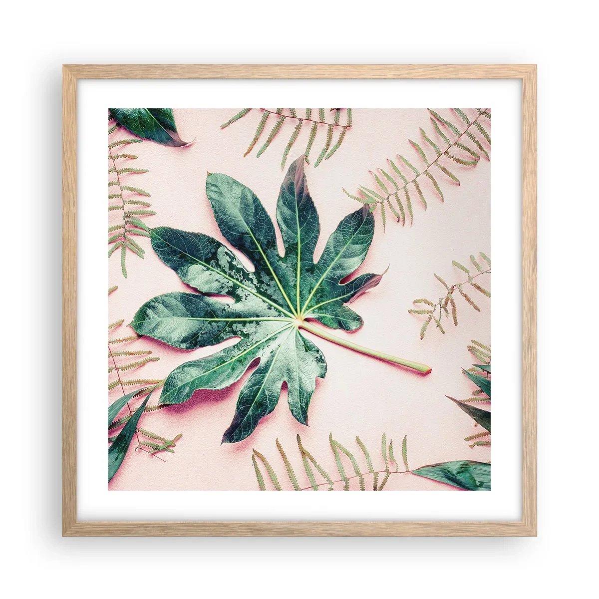 Pôster com moldura de carvalho claro - Estudo do verde em um fundo rosa - 50x50 cm