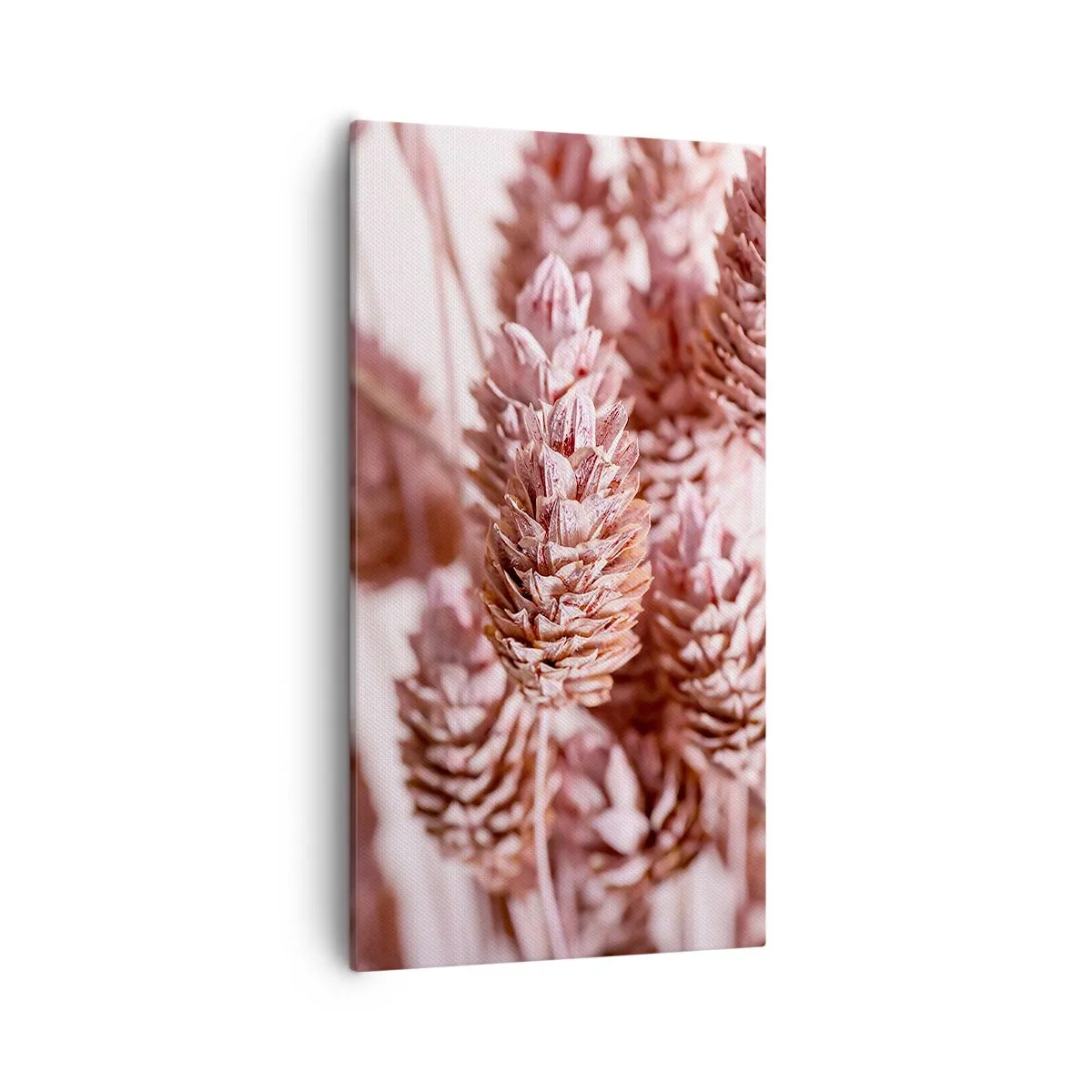 Quadro em tela - Aparentemente discreto - 55x100 cm