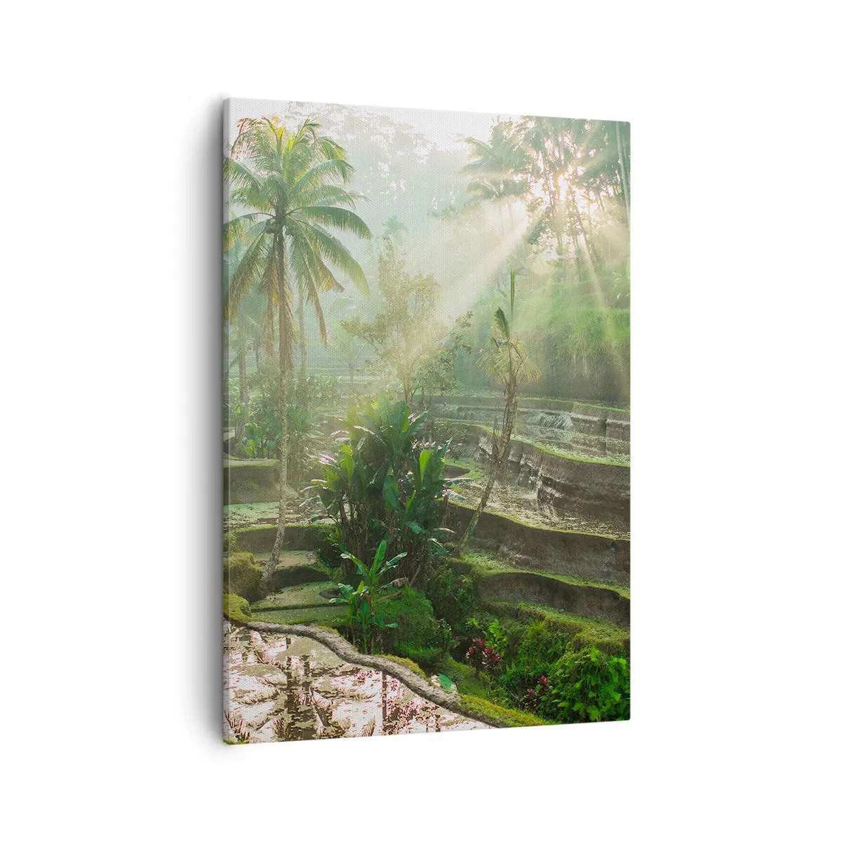 Quadro em tela - Crescer ao sol - 50x70 cm