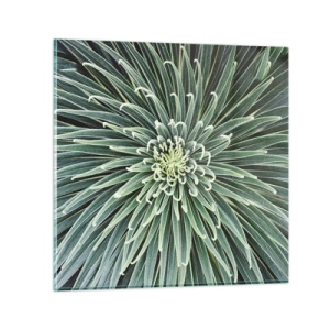 Quadro em vidro - Nasce uma estrela - 50x50 cm