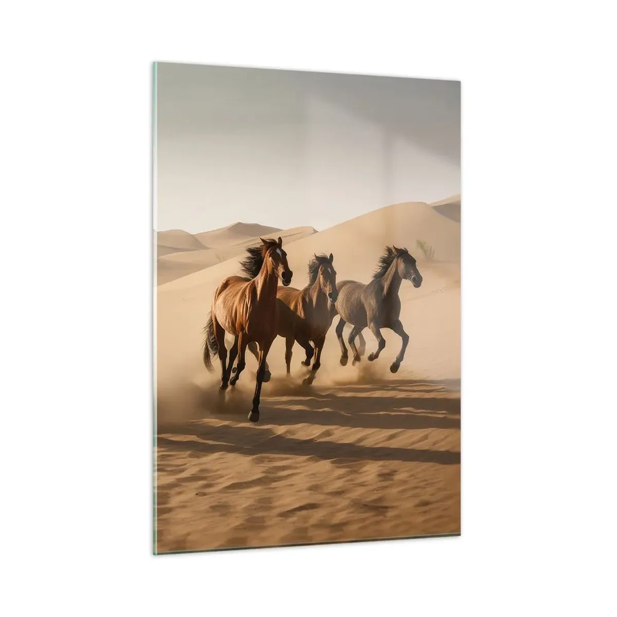 Quadro em vidro - Livre como o vento - 50x70 cm