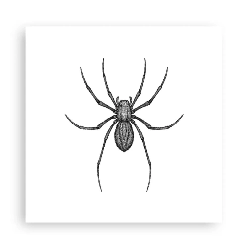 Pôster - Precisão perturbadora - 30x30 cm