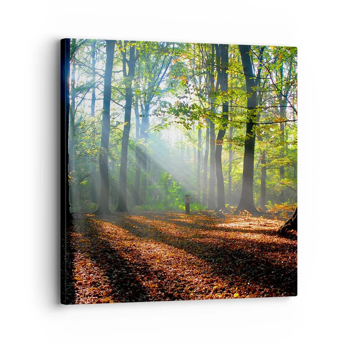 Quadro em tela - Luzes e sombras - 30x30 cm