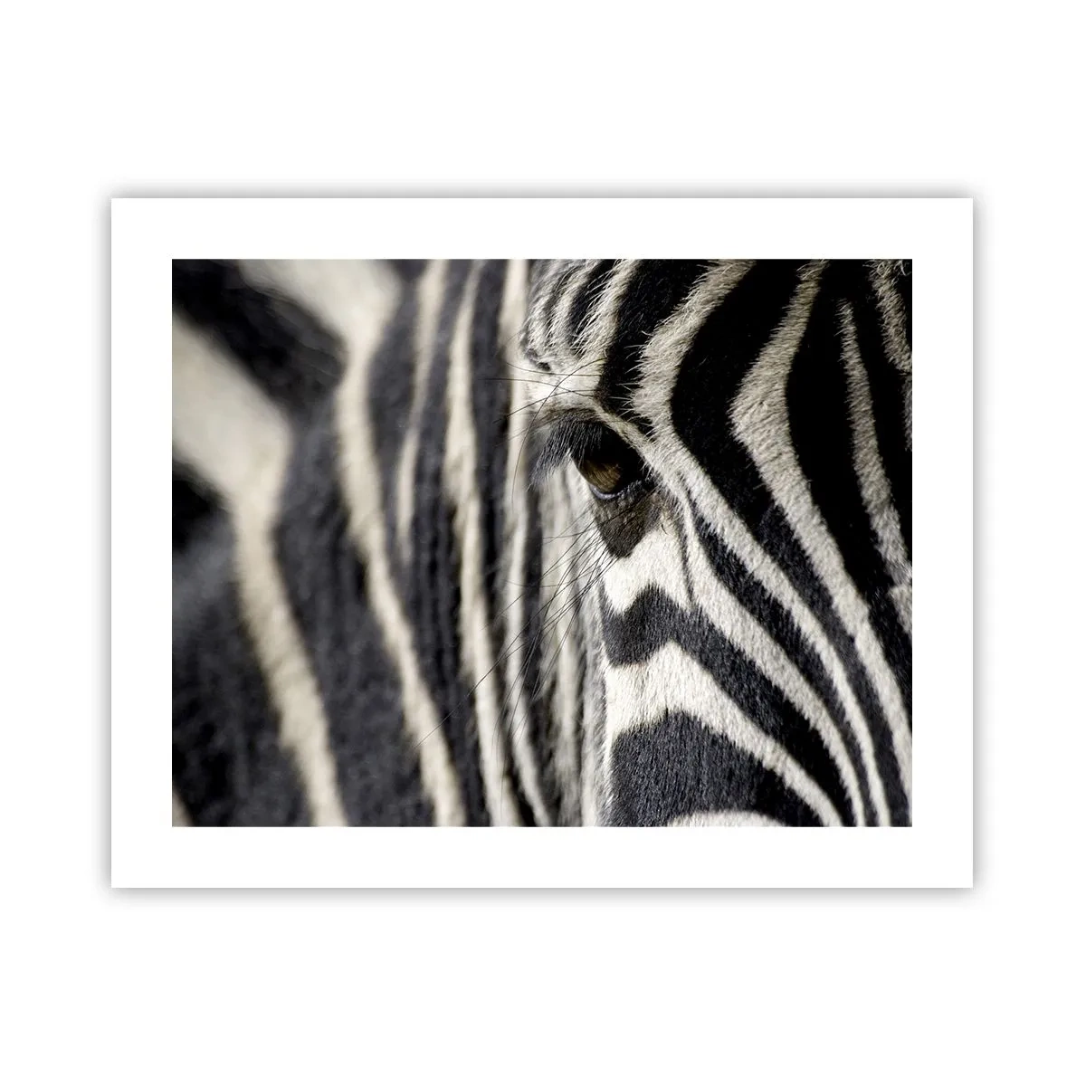 Pôster - Retrato em listras - 50x40 cm