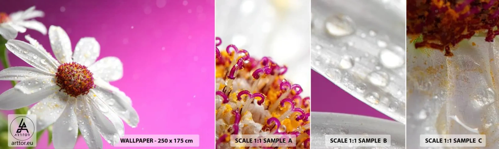 Amostra de Papel de Parede Standard Eco - Modesto em sua beleza - Flor, Natureza, Jardim - 100x30 cm