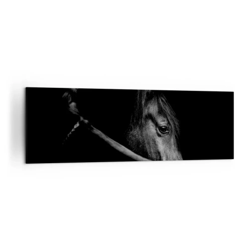 Quadro em tela - Príncipe Negro - 160x50 cm