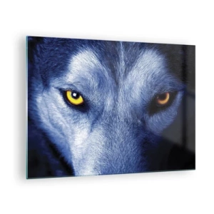 Quadro em vidro - O olhar hipnotizante de um lobo - 70x50cm - Olhar hipnotizante - Decoração de parede moderna para a sala de estar e quarto ARTTOR
