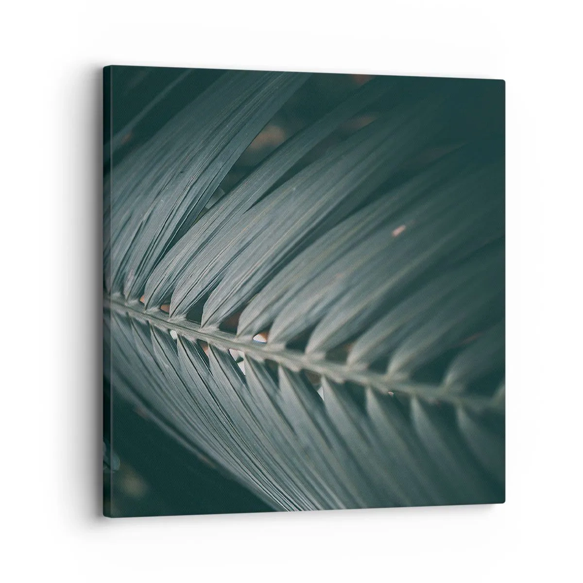 Quadro em tela - A precisão da natureza - 30x30 cm