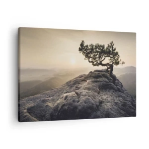 Quadro em tela - Uma árvore solitária em um pico rochoso sob a luz do sol - 70x50cm - A vida ganha sempre - Decoração de parede moderna para a sala de estar e quarto ARTTOR