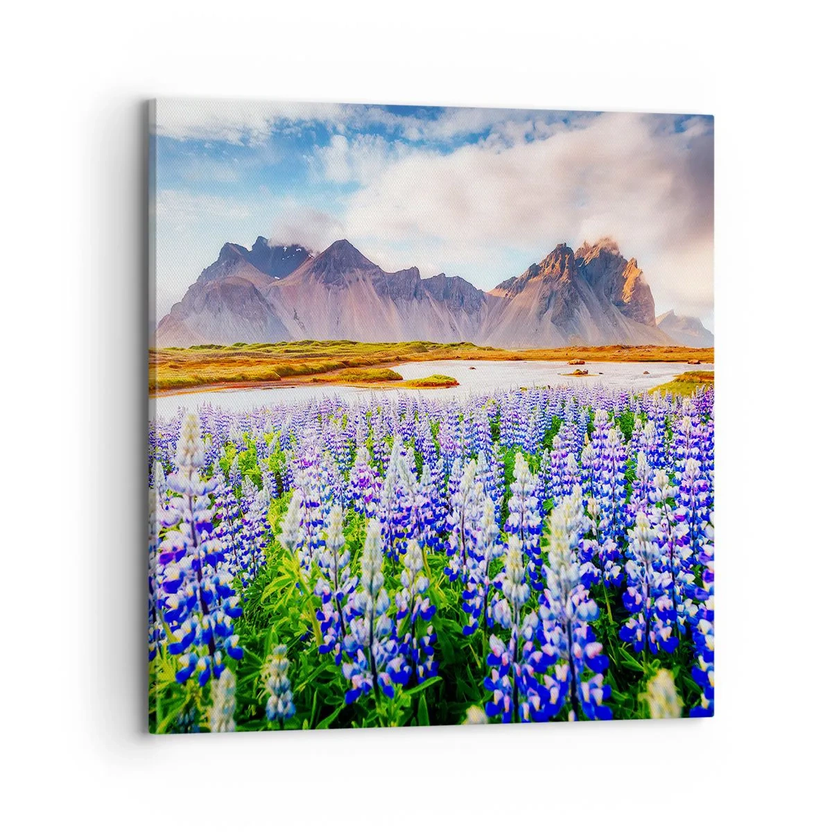 Quadro em tela - Força e severidade ao lado da suavidade - 70x70 cm