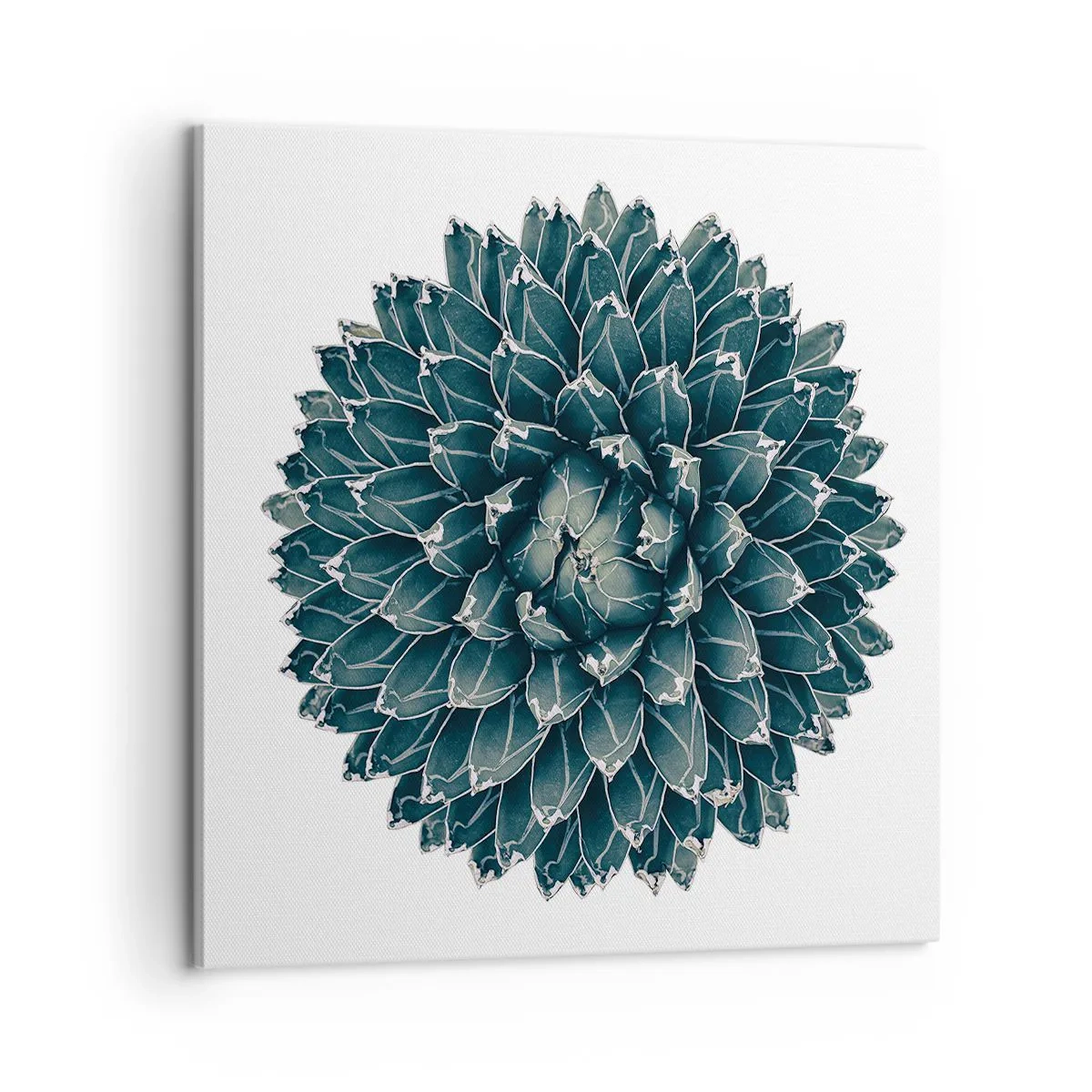 Quadro em tela - Estrela do Deserto - 60x60 cm