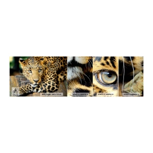 Amostra de papel de parede autocolante Deluxe Sticker - Não tenha medo, venha - Animais, Pantera, Gato selvagem - 100x30 cm