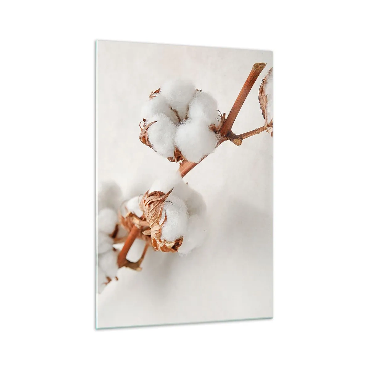 Quadro em vidro - Apenas acaricie - 70x100 cm