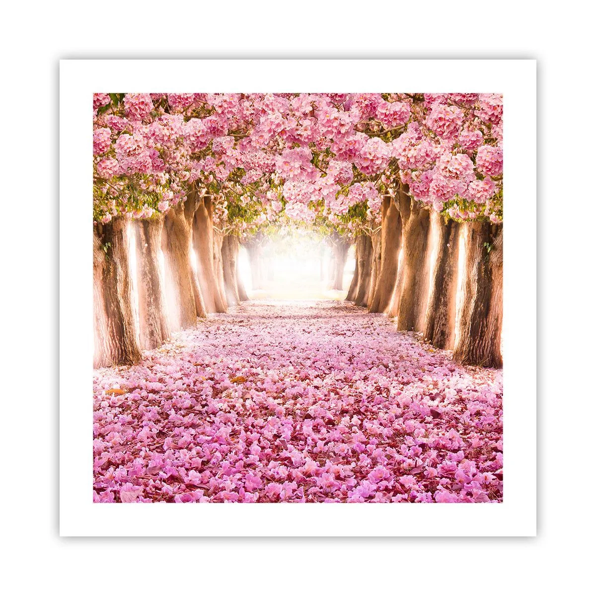 Pôster - O Caminho para o Paraíso - 50x50 cm