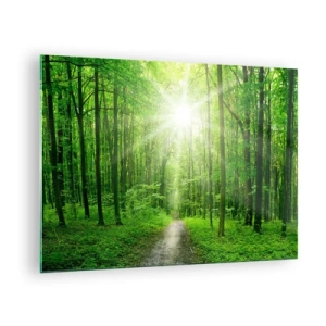 Quadro em vidro - Um caminho na floresta iluminado pelos raios do sol - 70x50cm - Catedral Verde - Decoração de parede moderna para a sala de estar e quarto ARTTOR
