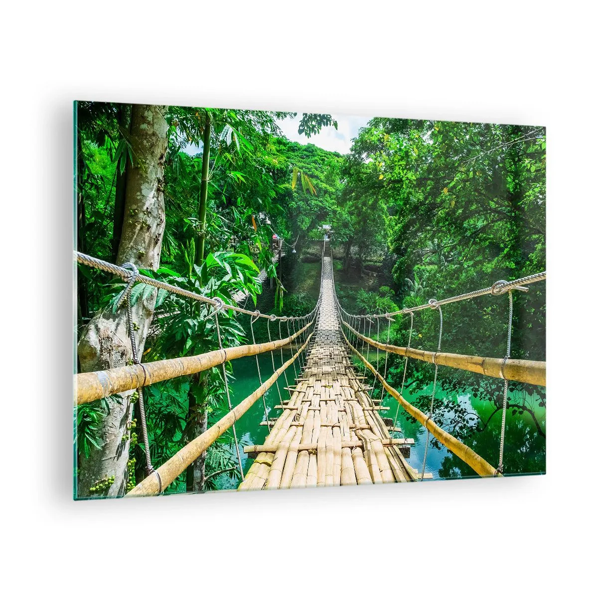Quadro em vidro - Uma ponte suspensa de bambu entre vegetação tropical sobre um rio - 70x50cm - Ponte de macacos sobre a vegetação - Decoração de parede moderna para a sala de estar e quarto ARTTOR