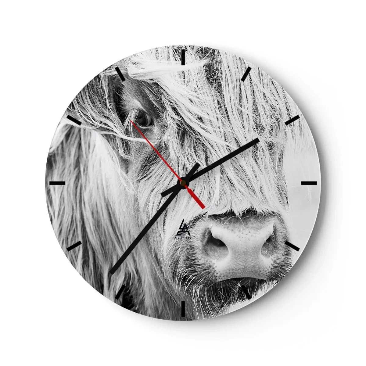 Relógio de parede - Relógio em vidro - Retrato de um gado escocês de pelo longo em preto e branco - 30x30cm - Natureza selvagem escocesa - Decoração de parede moderna para a sala de estar, cozinha e quarto ARTTOR
