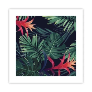 Pôster - Queimar em verde - 40x40 cm