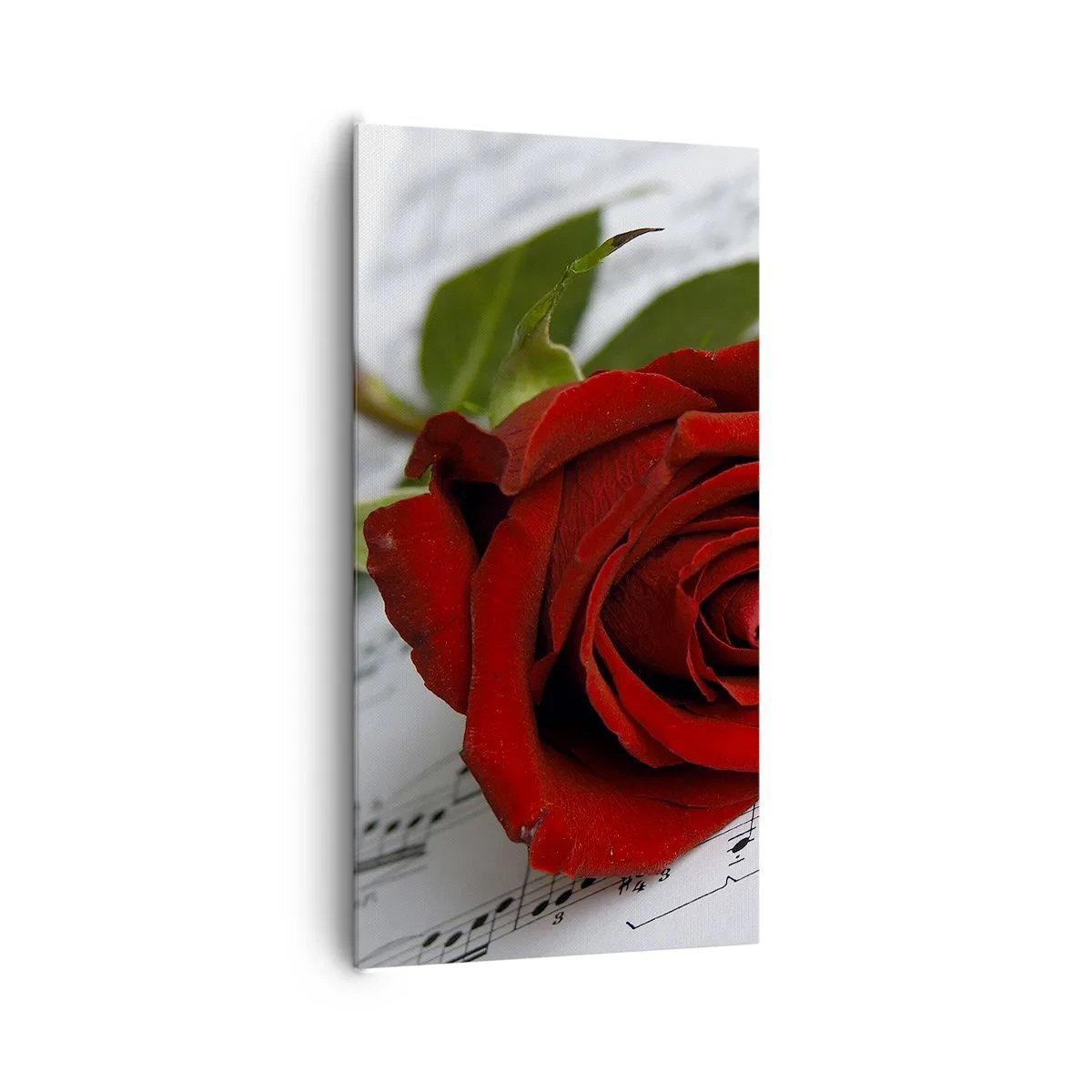 Quadro em tela - Música de sentimentos em escarlate - 65x120 cm
