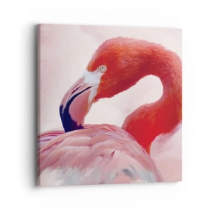 Quadro em tela - Beleza das aves - 40x40 cm