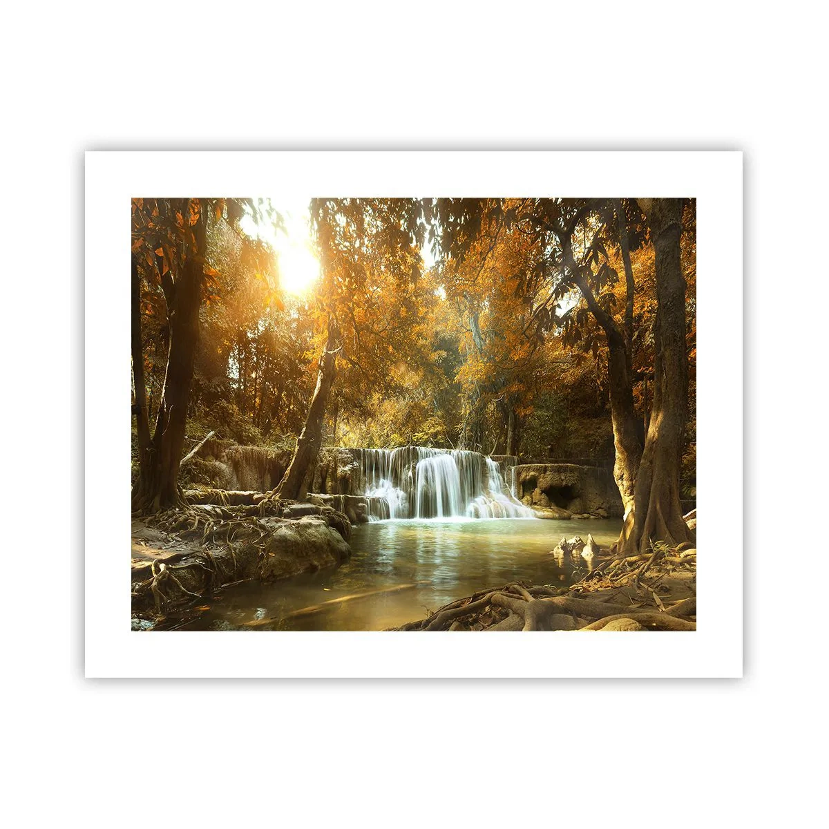 Pôster - A cascata do parque - 50x40 cm
