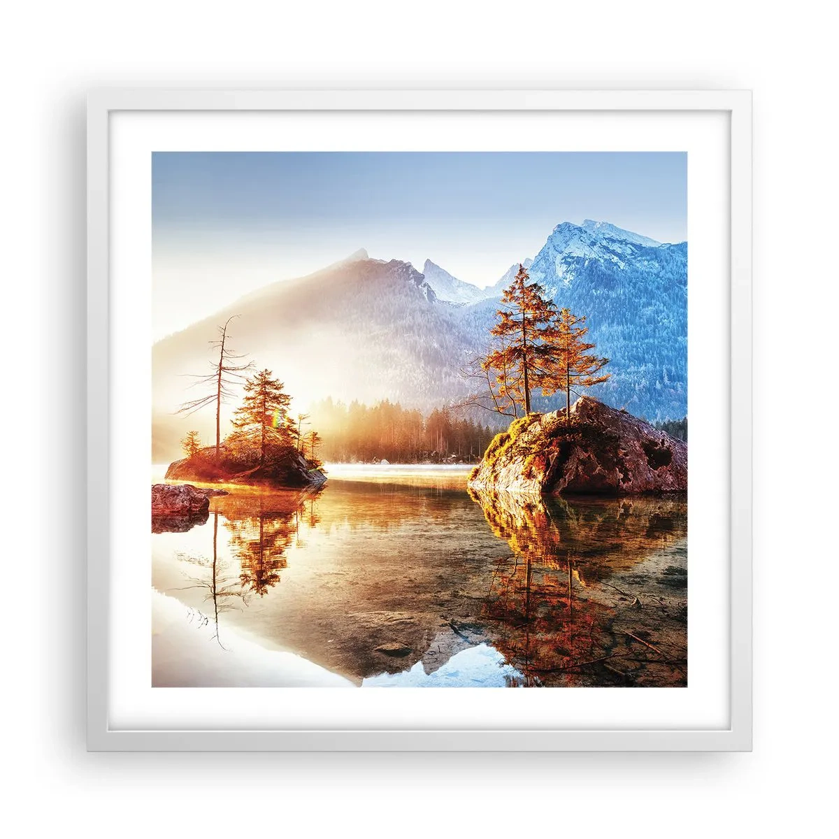 Pôster em moldura branca - A natureza sob uma nova luz - 50x50 cm