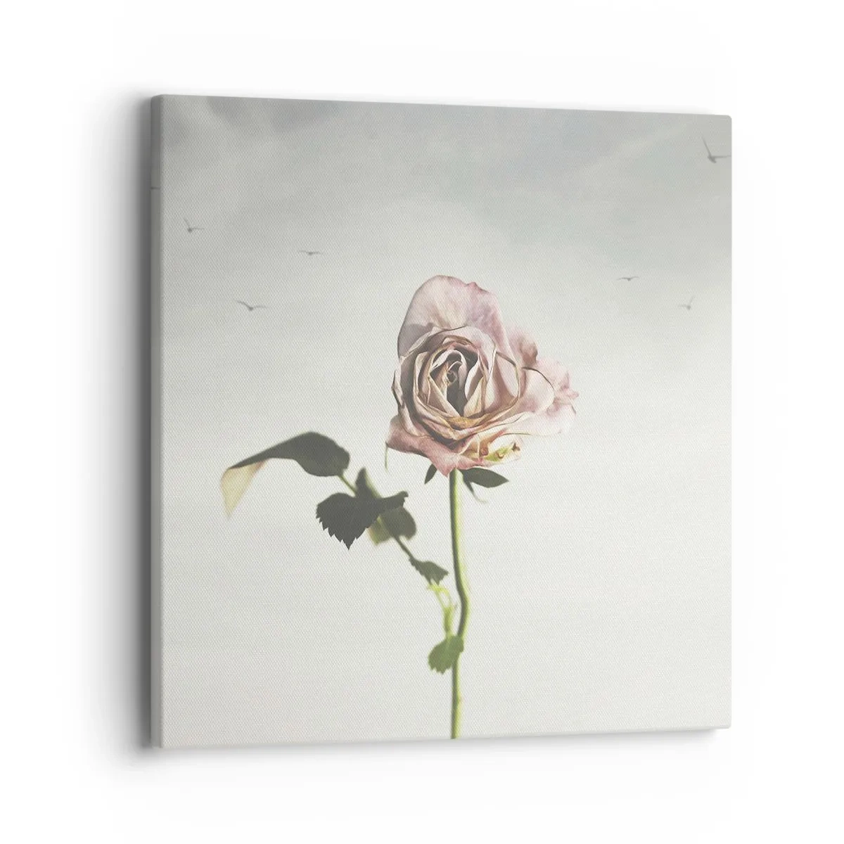 Quadro em tela - Boas-vindas da primavera  - 40x40 cm