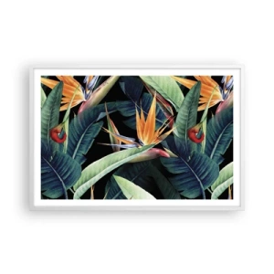 Pôster em moldura branca - Flores ardentes dos trópicos - 91x61 cm