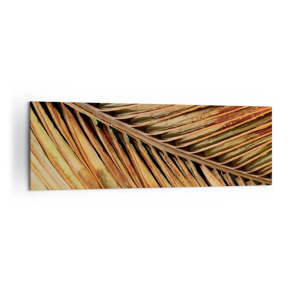 Quadro em tela - Ouro de coco - 160x50 cm