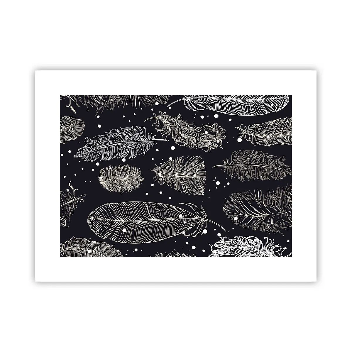 Pôster - Rendas de penas - 40x30 cm