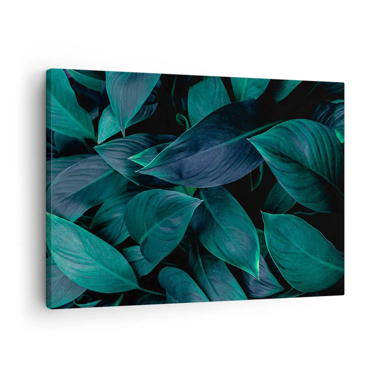 Quadro em tela - Verde em si - 70x50 cm