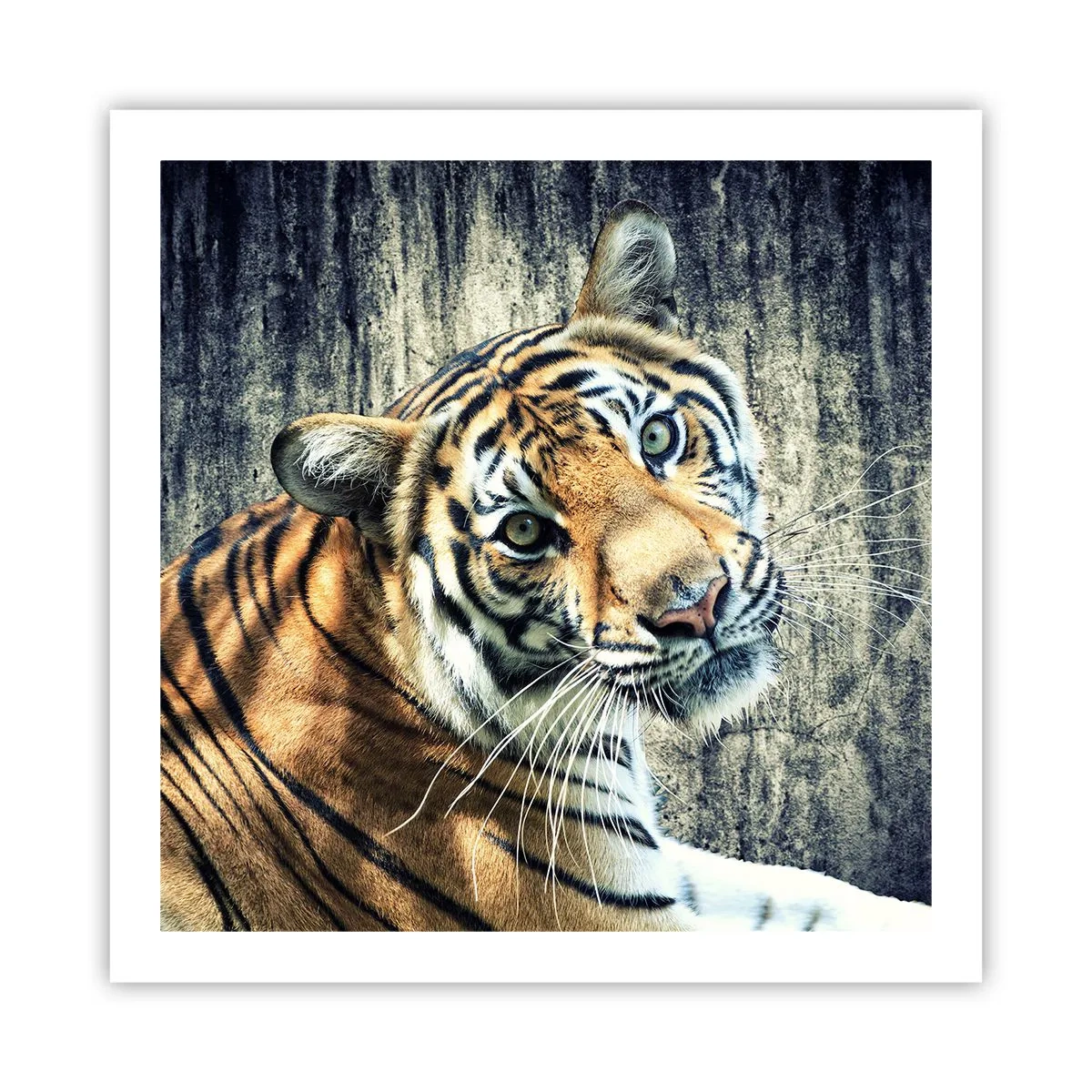 Pôster - Retrato em feixes de luz - 60x60 cm