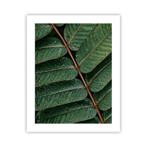 Pôster - Num ritmo verde - 40x50 cm