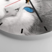 Mostrador com traços