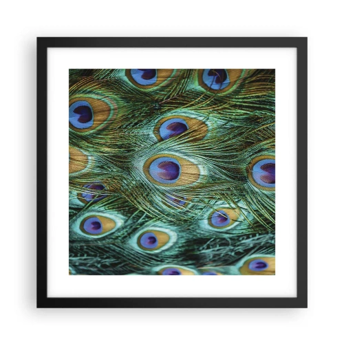 Pôster com moldura preta - Um olhar de pavão - 40x40 cm