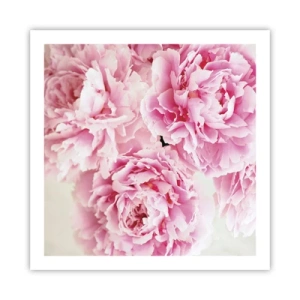 Pôster - Em esplendor rosa - 60x60 cm