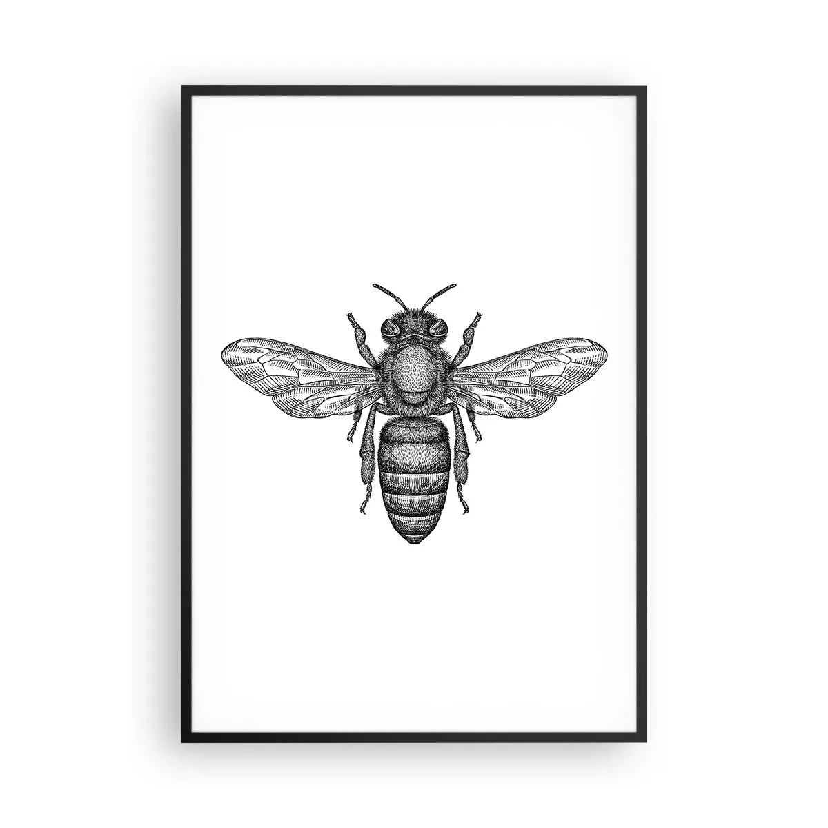 Pôster com moldura preta - Retrato de um inseto - 70x100 cm