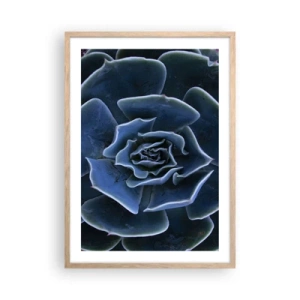Pôster com moldura de carvalho claro - Flor do deserto - 50x70 cm