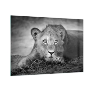 Quadro em vidro - Cachorro real - 100x70 cm