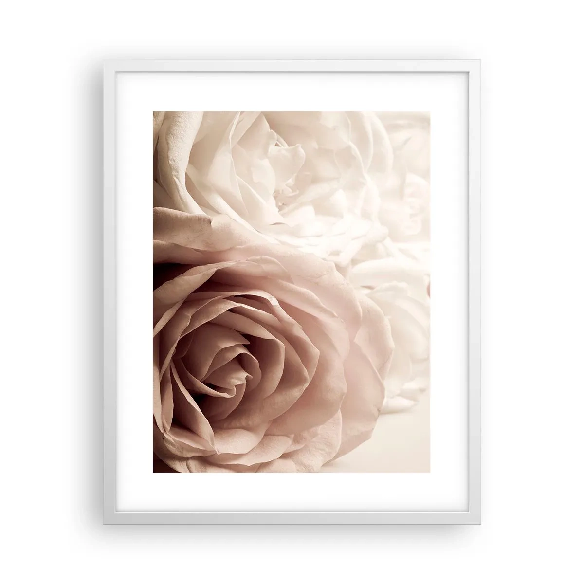 Pôster em moldura branca - No coração de uma rosa - 40x50 cm
