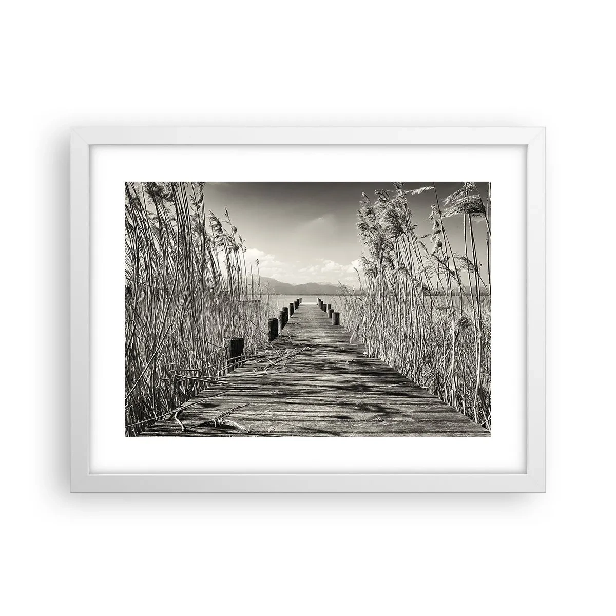 Pôster em moldura branca - No silêncio da relva - 40x30 cm