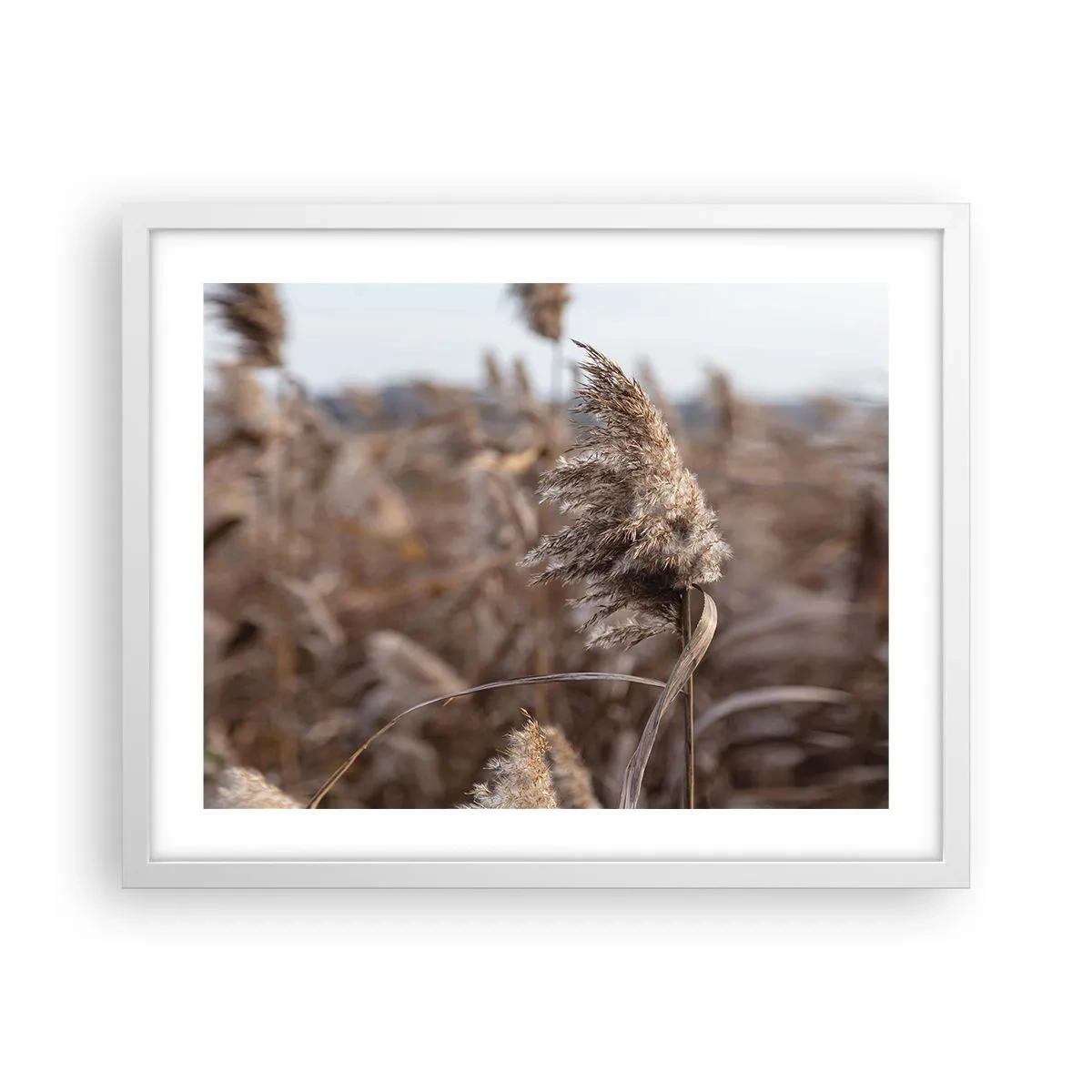 Pôster em moldura branca - É hora de voar com o vento - 50x40 cm