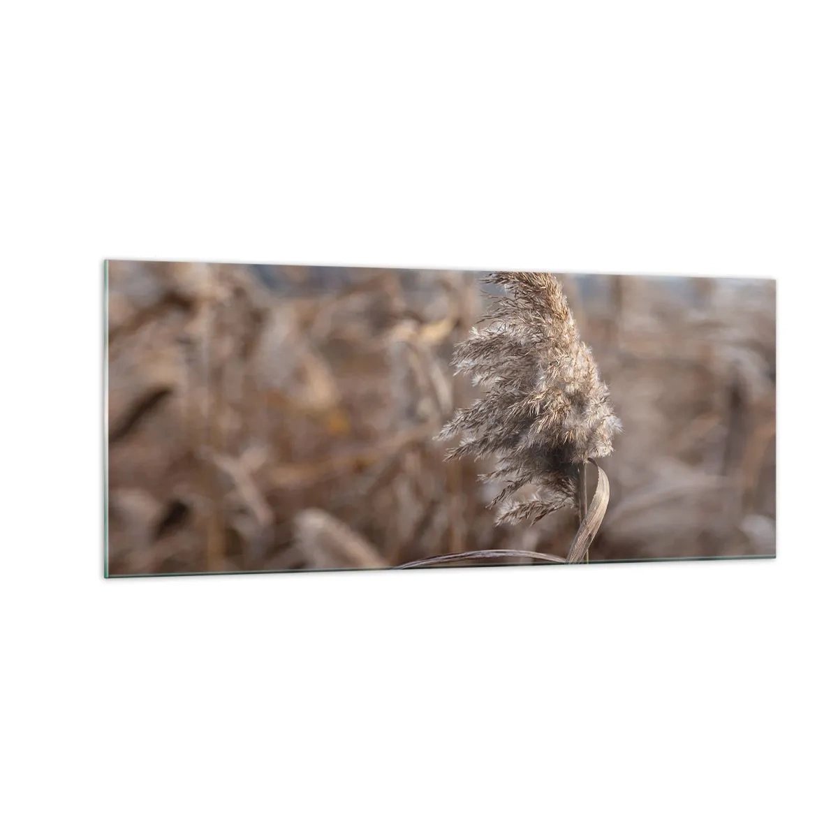 Quadro em vidro - É hora de voar com o vento - 100x40 cm