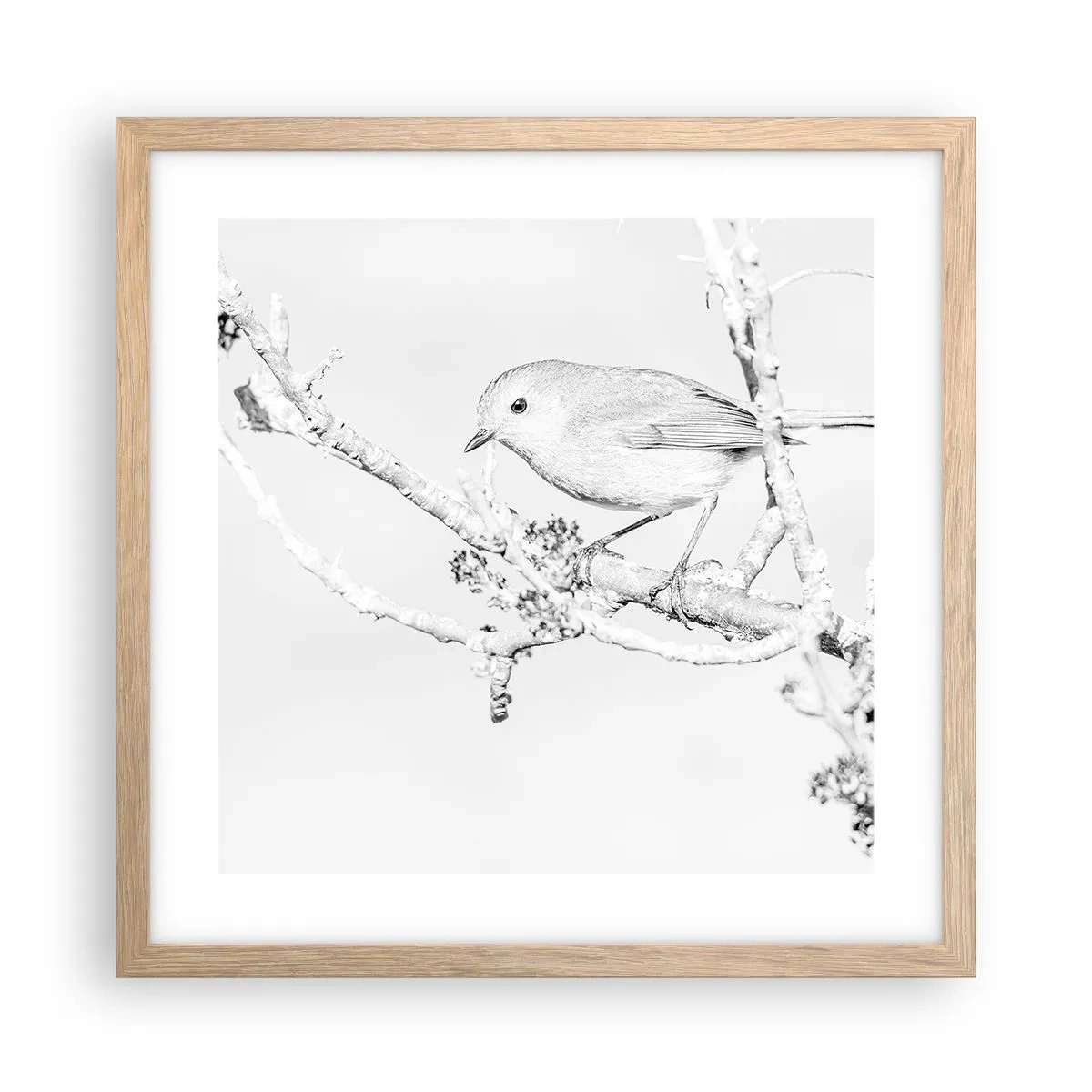 Pôster com moldura de carvalho claro - Manhã de inverno - 40x40 cm