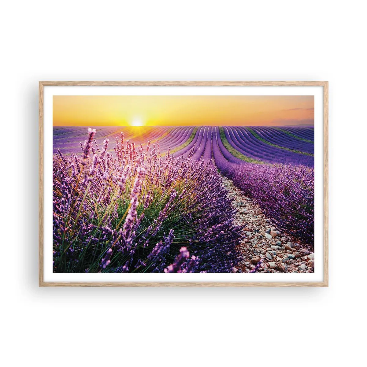 Pôster com moldura de carvalho claro - Prado perfumado - 100x70 cm