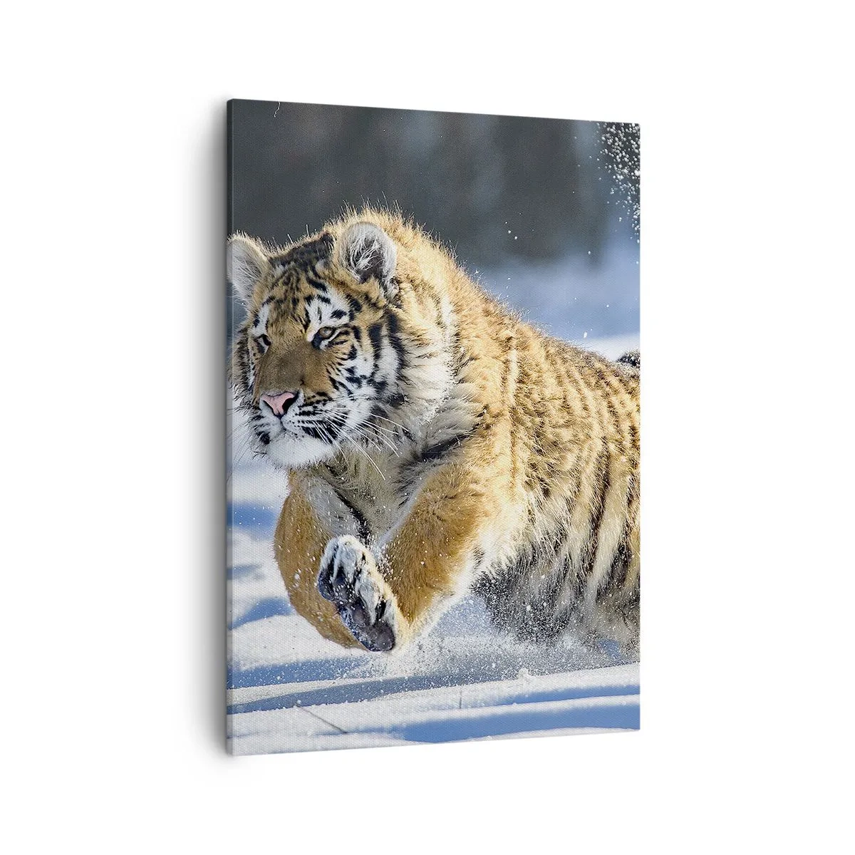 Quadro em tela - O deus da taiga siberiana - 50x70 cm