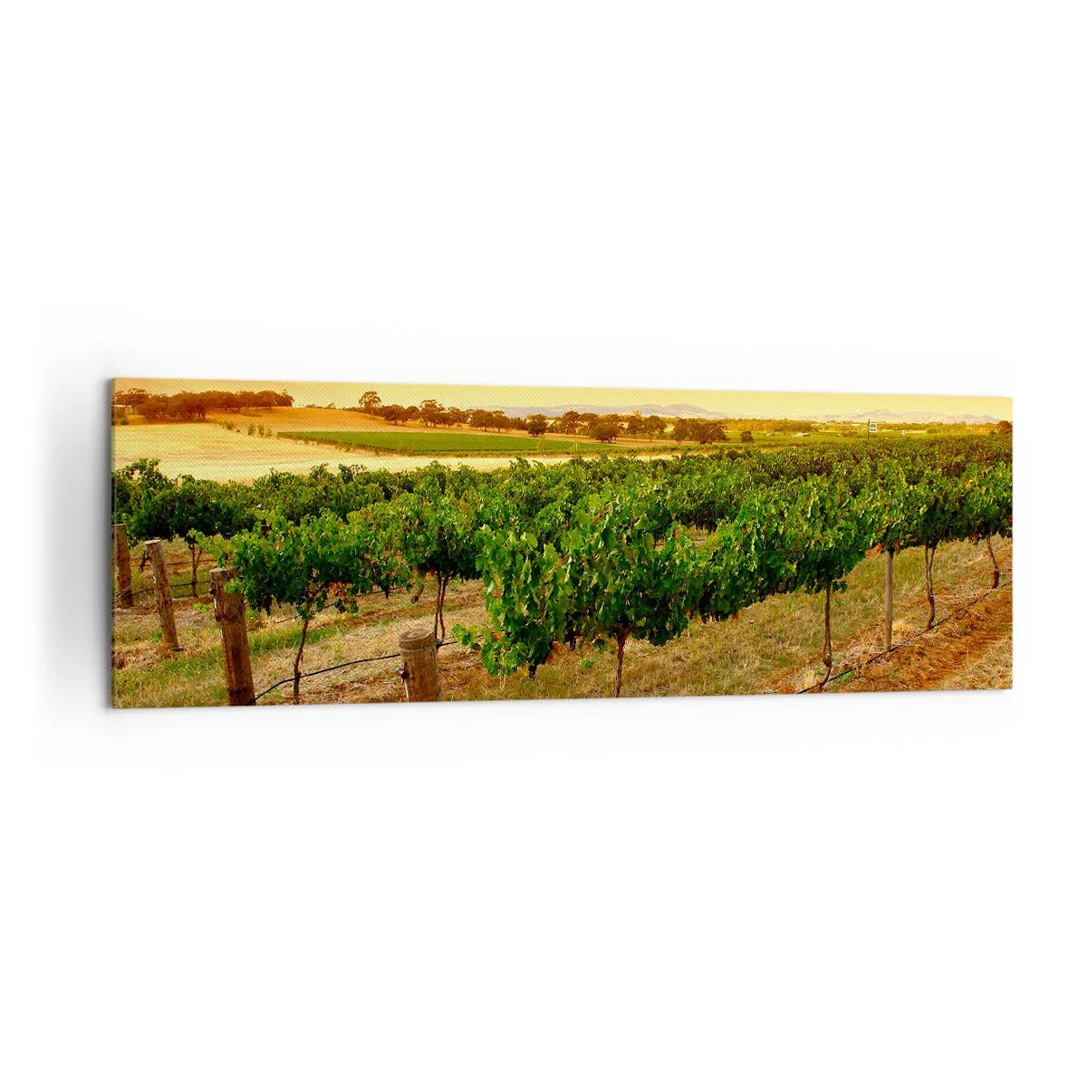 Quadro em tela - Sede de sol - 160x50 cm