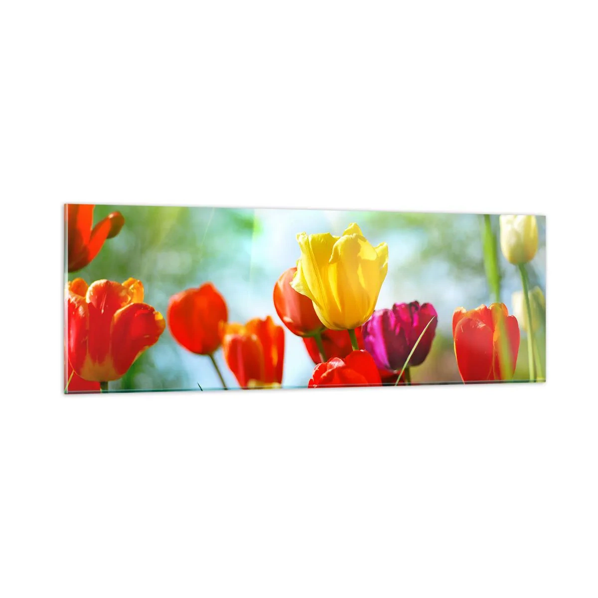 Quadro em vidro - Todas as cores do sol - 90x30 cm